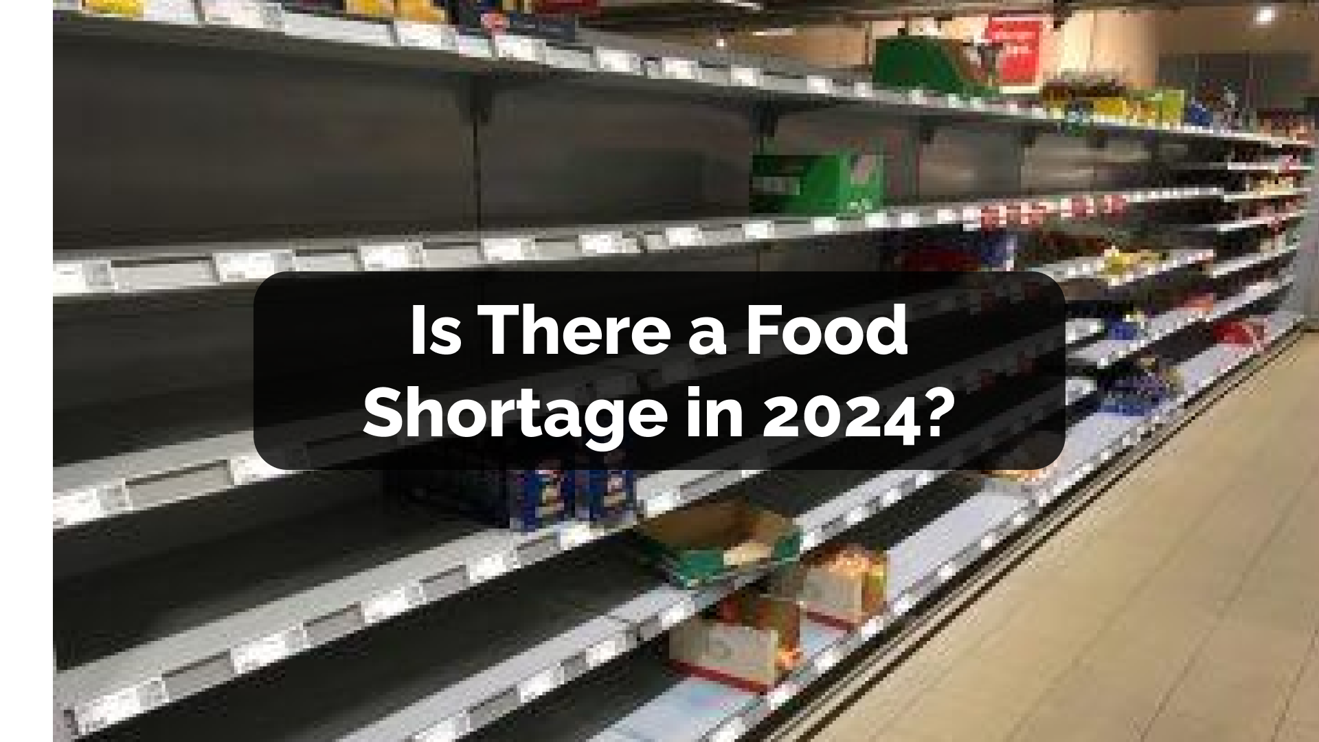 Is There a Food Shortage in 2024?